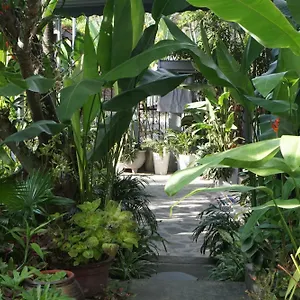 Séjour chez l'habitant Sunny Garden, Hội An